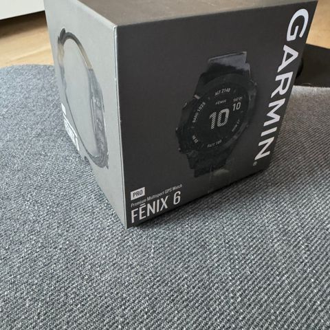 Garmin Fenix 6 Pro