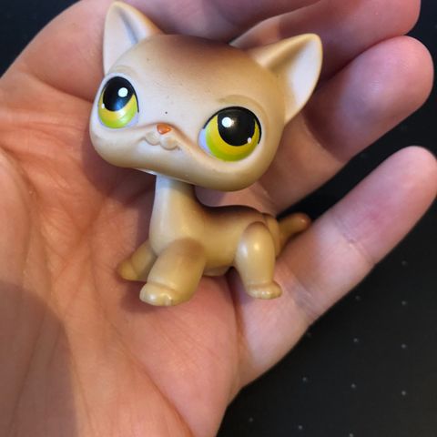 Brown Shorthair Cat #19 1 gen LPS “littlest pet shop” 2004 figur