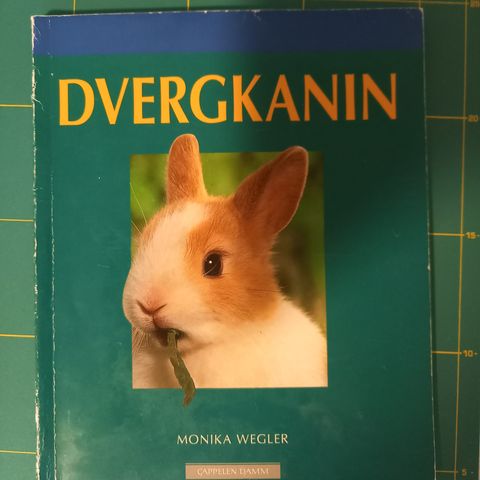 Dvergkanin bok 🐰