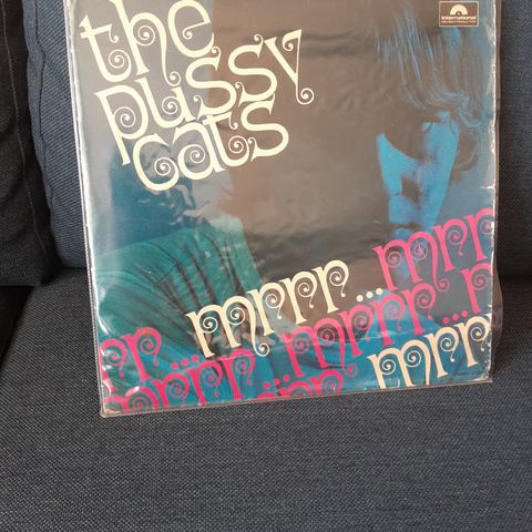 Mr,mr The Pussycats