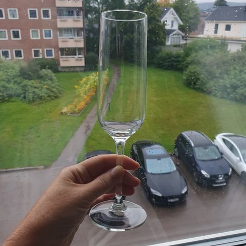 Champagneglass fra Ikea - utgått modell