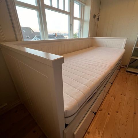 Hemnes dagseng