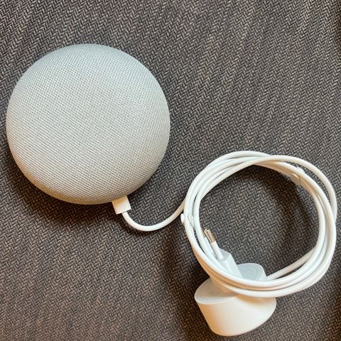 Google home mini