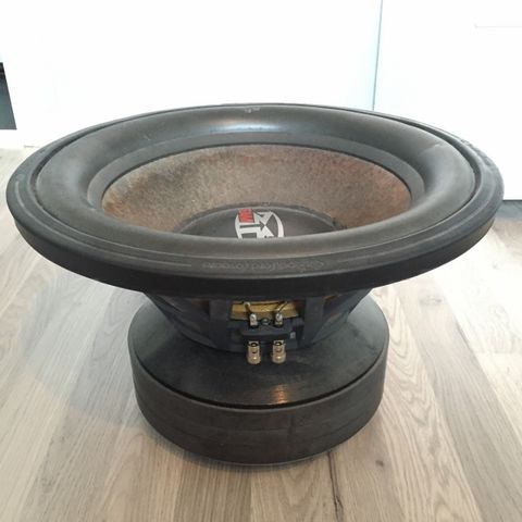 Rockford Fosgate 15" basselement