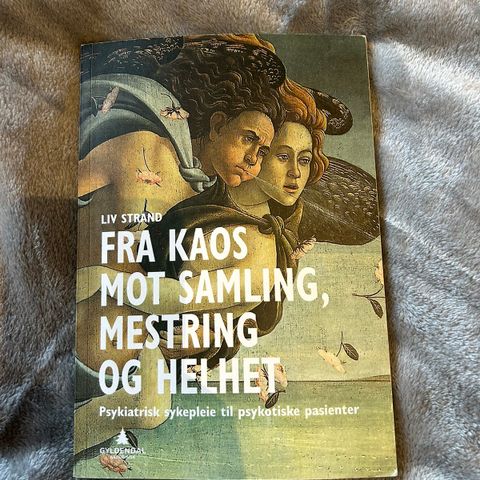 Fra kaos mot samling, mestring og helhet