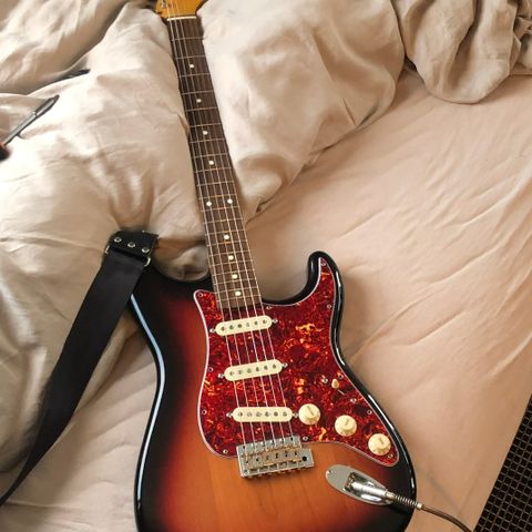 Fender Stratocaster Partscatser