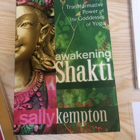 Awakening Shakti- Sally Kempton