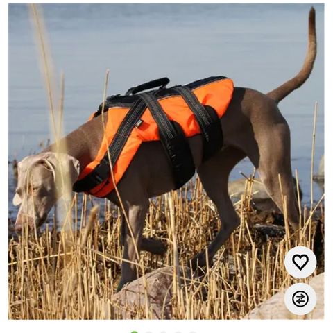 Rukka pets flytevest