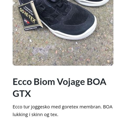 Ecco Biom Vojage BOA GTX i str40