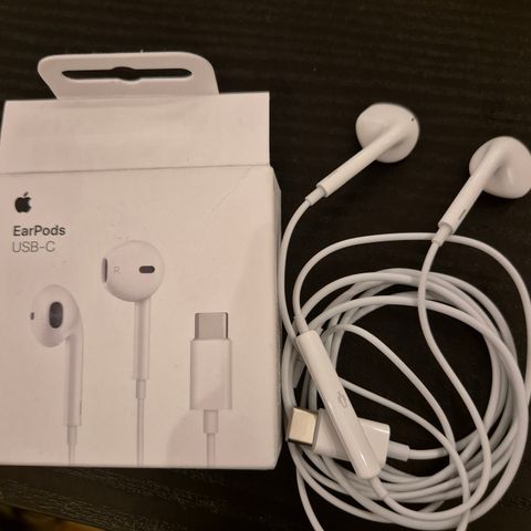 Apple Earpods - USB C