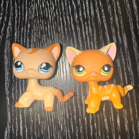 Littlest pet shop (short hair cats)