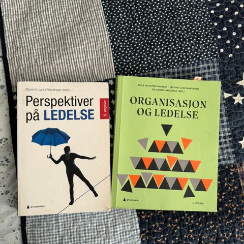 Organisasjon og ledelse / perspektiv på ledelse