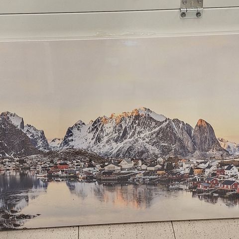 Bilde fra Lofoten