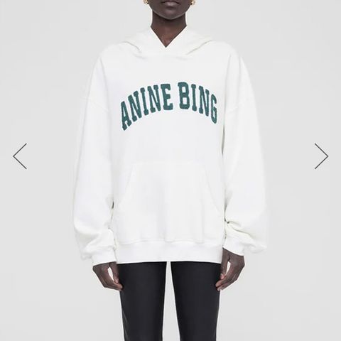 Anine Bing hoodie