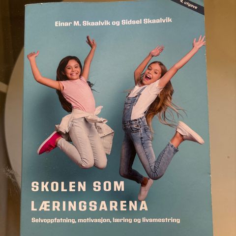 Skolen som læringsarena