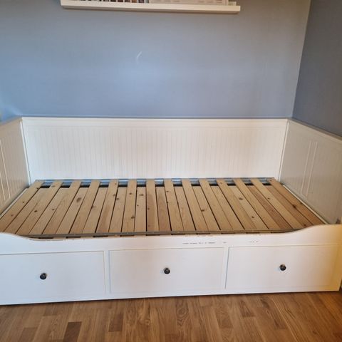 Hemnes dagseng