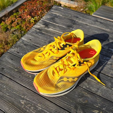 Saucony Endorphin Pro 2 (str 42,5)