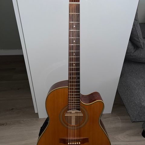 Ibanez AE20D NT Akustisk gitar