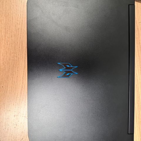 Acer Predator Triton 500 PT515-52 15,6