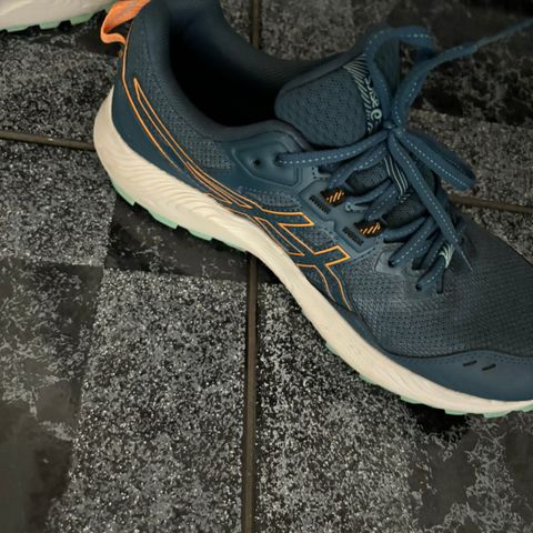 Helt nye Asics tur sko