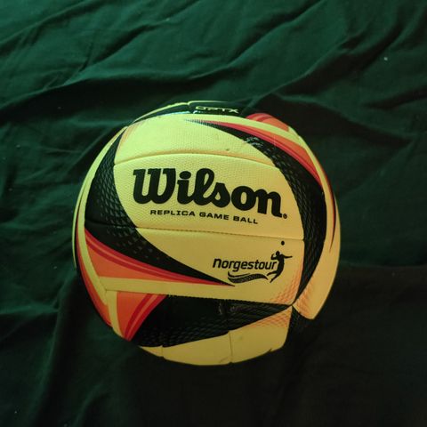 Wilson volleyball