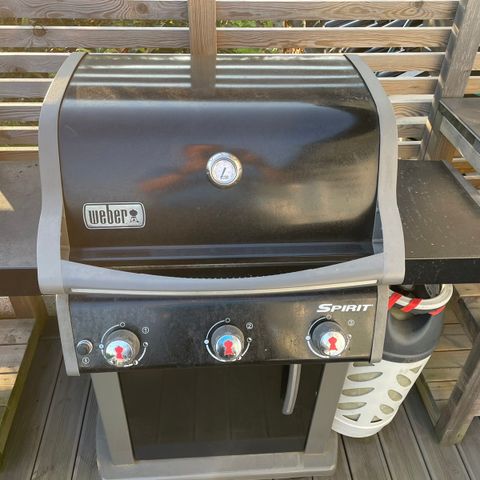 Weber spirit 300 serien