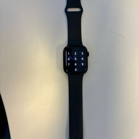 Apple Watch 9 (45mm)