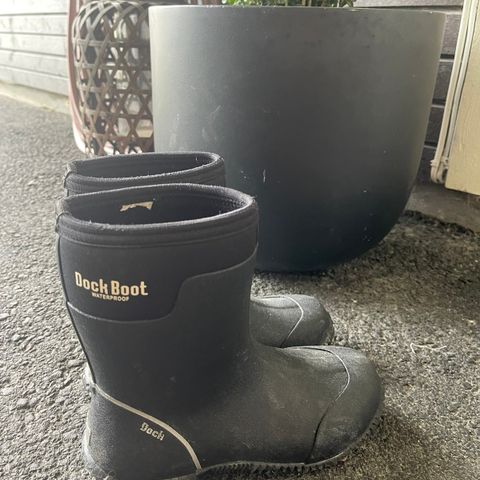 Dock boot