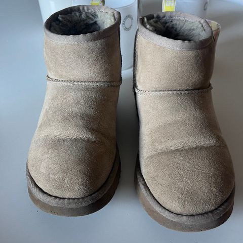 Uggs mini limited edition