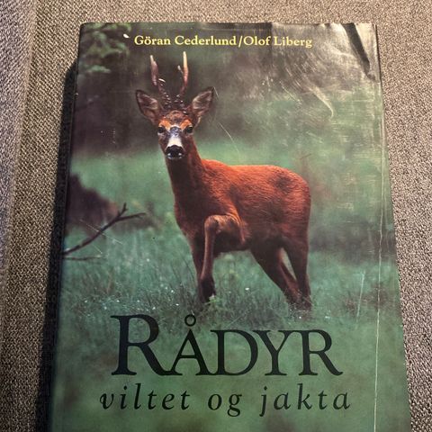 Rådyr viltet og jakta