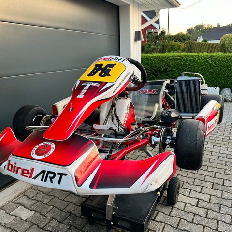 Birel Art DD2 Gokart