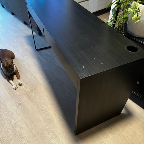 Micke Sort Skrivebord fra IKEA