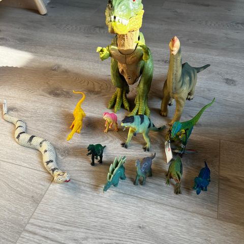 Div dinosaurer