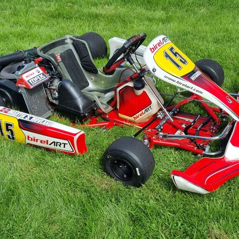 Gokart Birel Rotax max 125 Evo