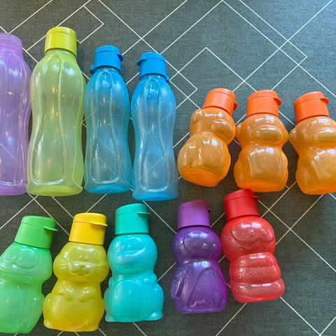 Tupperware Flasker