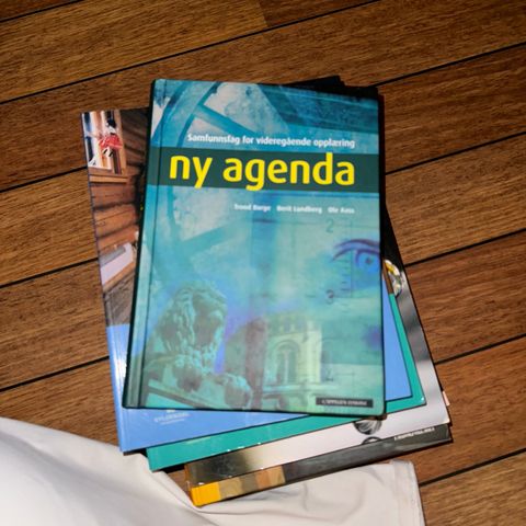 Ny agenda