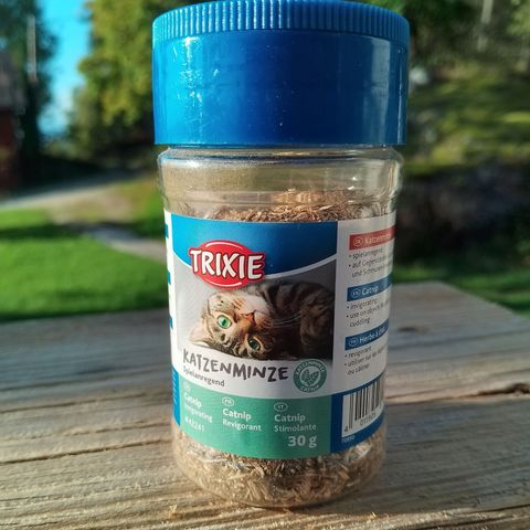 Kattemynte strø på boks (30g)