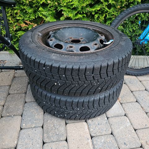 ContivikingContact 6 175/65 R14 t