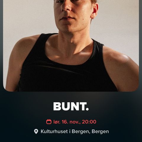 Bunt Bergen