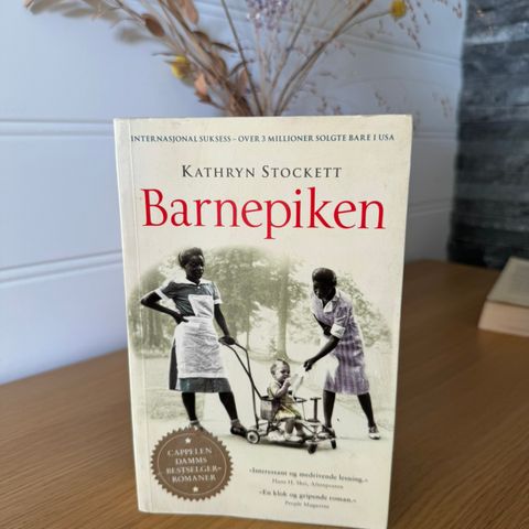 "Barnepiken" – Kathryn Stockett (som ny)