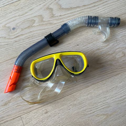 Dykkermaske og snorkel