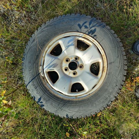 Piggdekk (Nokian 205 / 70 R15 100T XL ) på felg gies bort Geilo