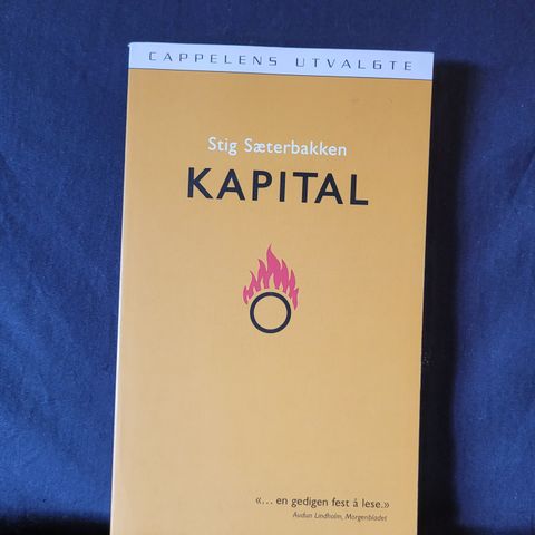 Stig Sæterbakken — Kapital