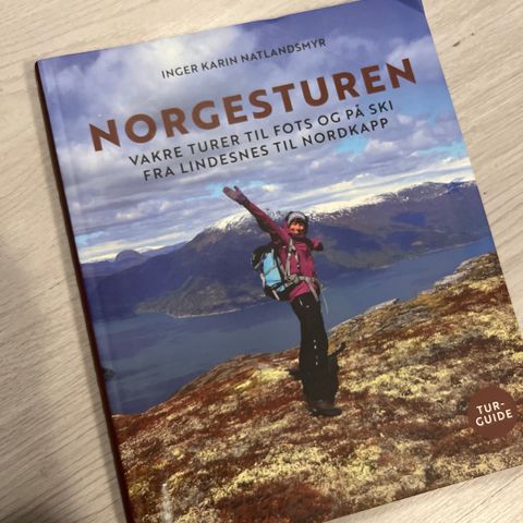 Norgesturen