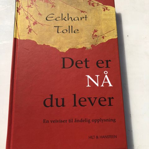 DET ER NÅ DU LEVER - Eckhart Tolle