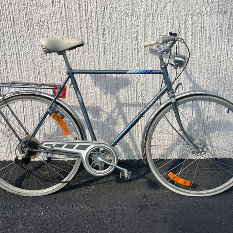 Stor (60cm) DBS Touring 5 speed -prosjekt