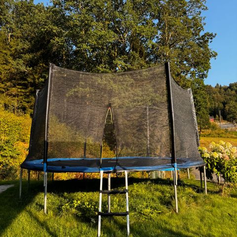 Trampoline