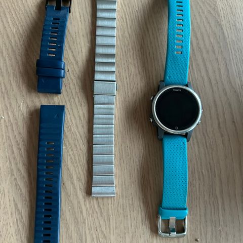 Garmin fenix 5s