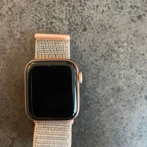 Apple Watch 5 rosegull