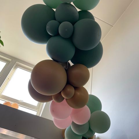 Ballonger for fest og feiring